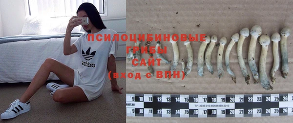 MESCALINE Верея