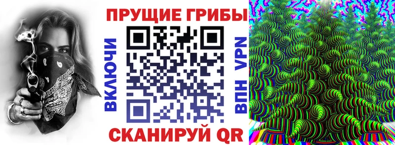 сколько стоит  Воркута  Галлюциногенные грибы GOLDEN TEACHER 